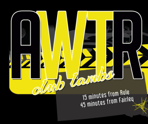 AWTR Club Lambs