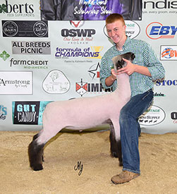 AWTR Sheep Show Champion
