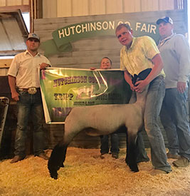 AWTR Show Lamb Winners