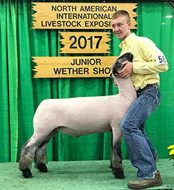 AWTR Show Lamb Winners