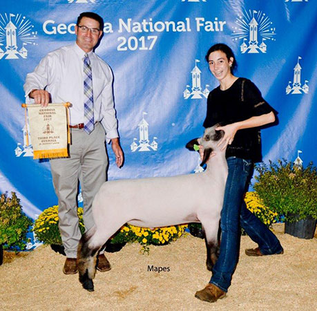 AWTR Show Lamb Winners