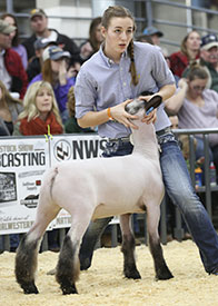 AWTR Champion
